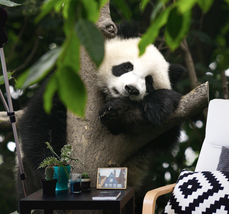 Animals wall mural panda resting on a tree - TenStickers