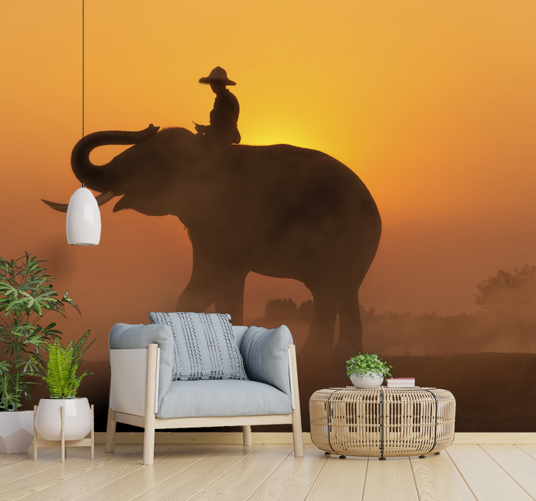 Asian Elephant at sunset wall mural - TenStickers