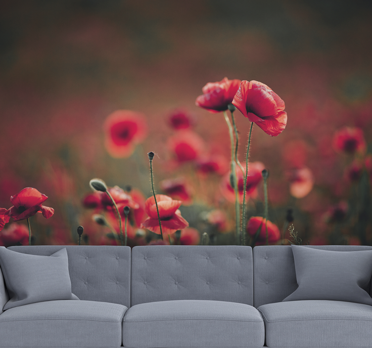 Beautiful Poppy Wall Mural - TenStickers