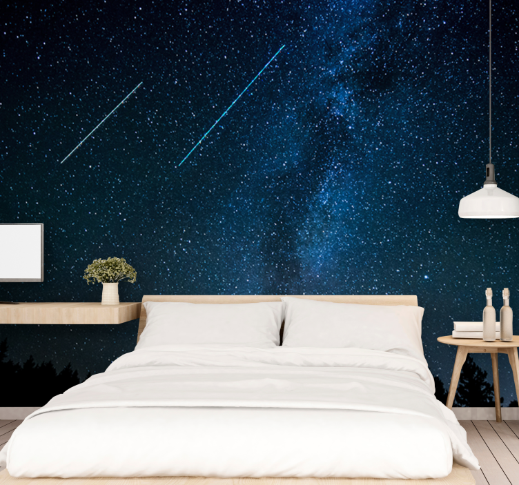 Beautiful shooting star landscape Wall Mural - TenStickers