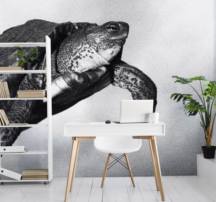 Black and white turtle animal wall mural - TenStickers