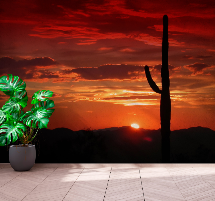 Cactus Sunset Shadow wall mural nature - TenStickers