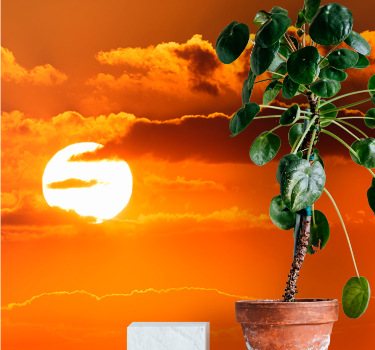 Cloud and sunset aesthetic Sky Wall Mural - TenStickers