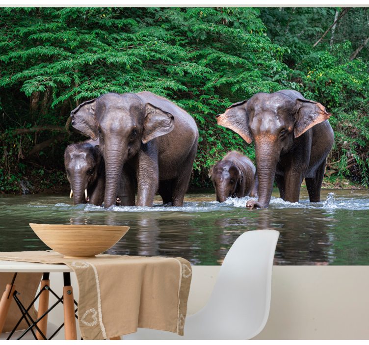 Elephants in Water animals wall mural - TenStickers