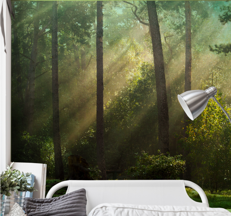 Enchanting forest scene forest wall mural - TenStickers