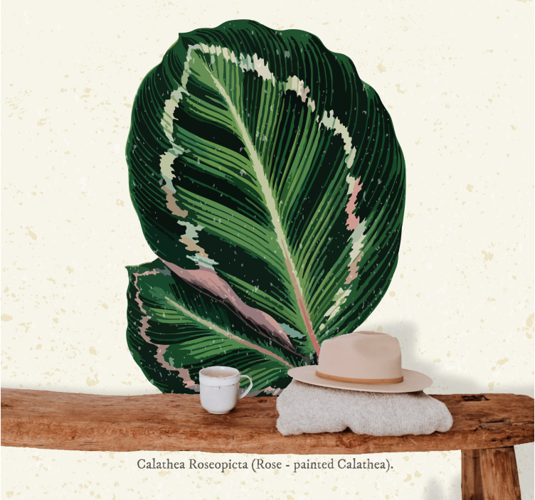 Flower wall mural calathea leaf art - TenStickers