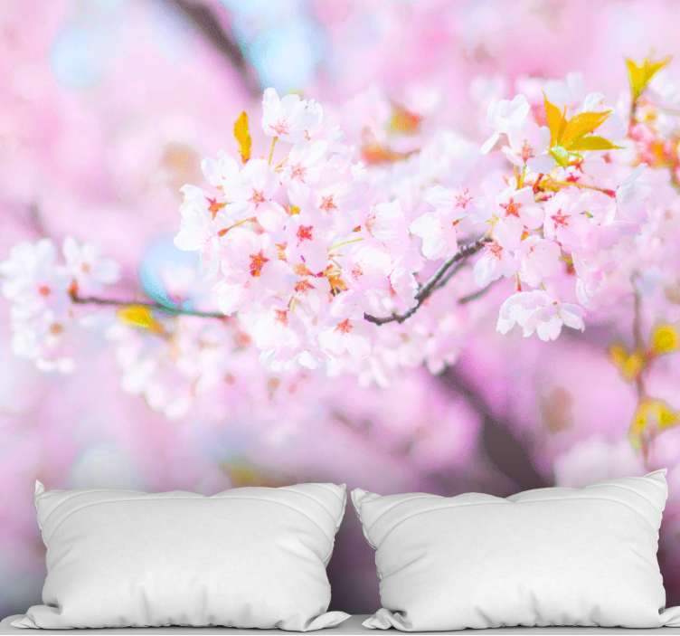 Flower wall mural cherry blossom beauty - TenStickers