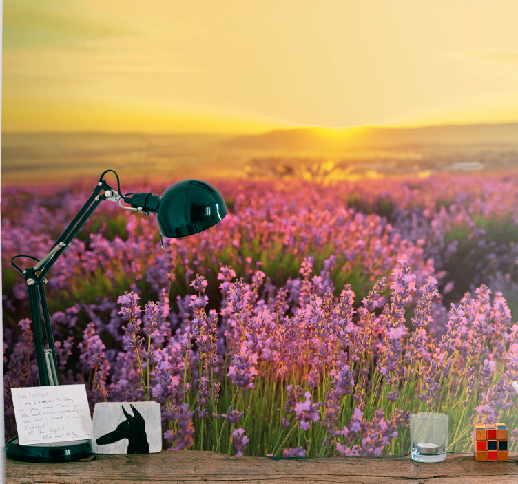 Flower wall mural lavender meadow dusk - TenStickers