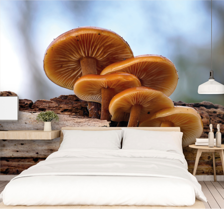 Flower wall mural mushroom group - TenStickers