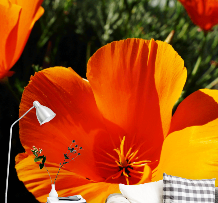 Flower wall mural orange flower closeup - TenStickers