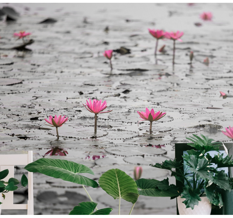 Flower wall mural pink lotus blossoms - TenStickers