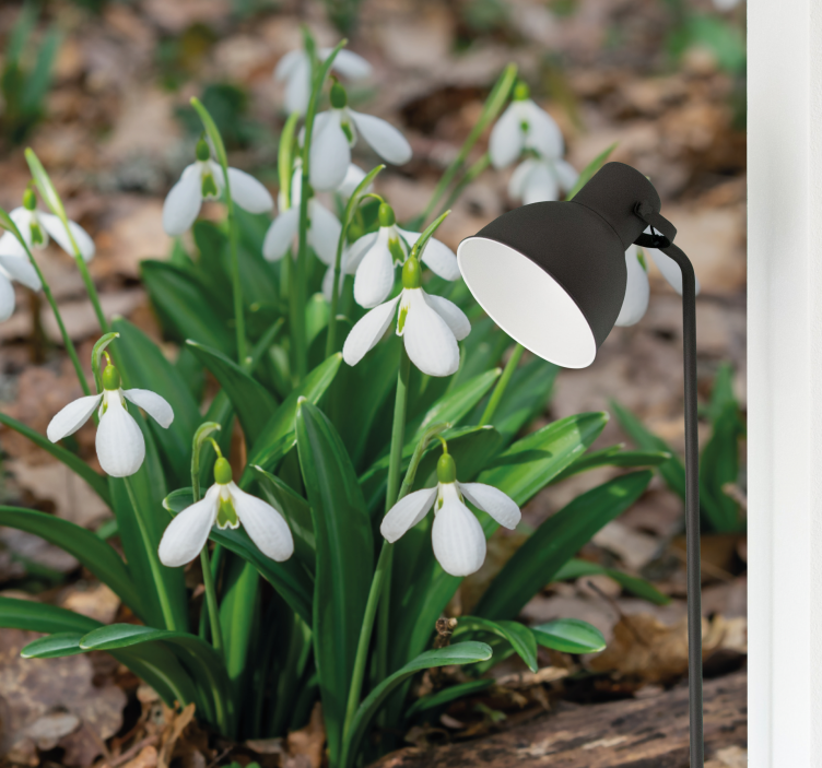 Flower wall mural snowdrop flower arrangement - TenStickers