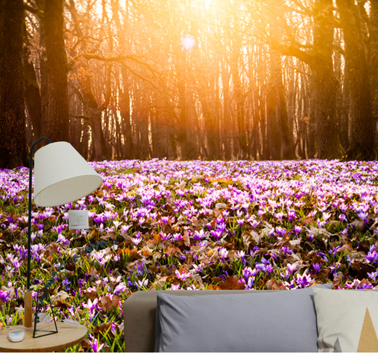 Flower wall mural sunlit flower meadow - TenStickers
