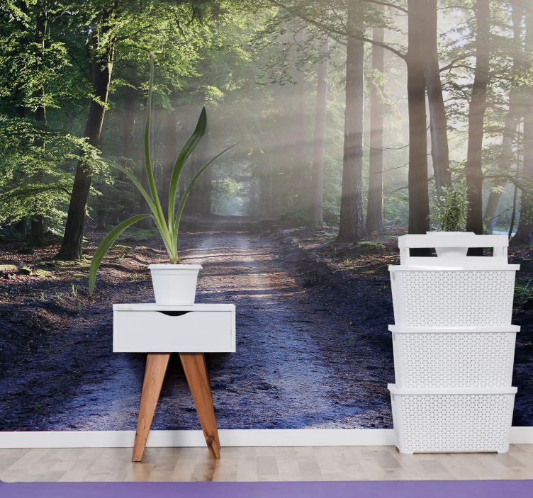 Forest landscape with flash Forest Wall Mural - TenStickers