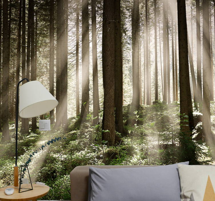 Luminous forest rays forest wall mural - TenStickers