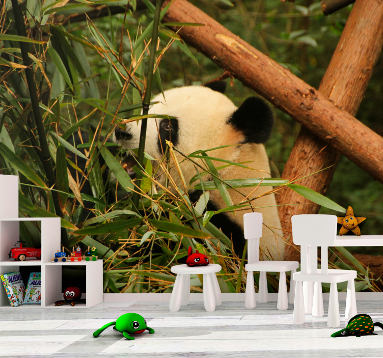 Panda Among Bamboo animals wall mural - TenStickers