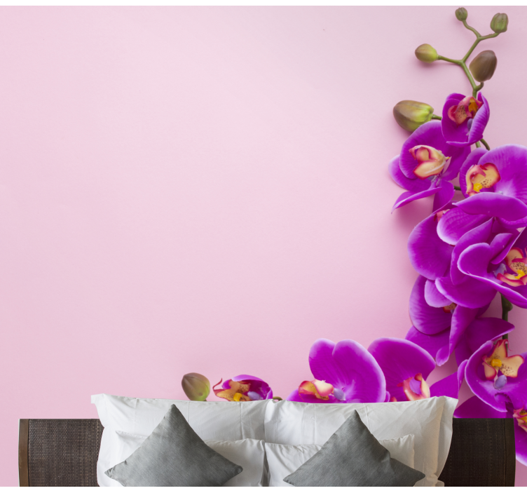 Pink background with Orchid wall mural - TenStickers
