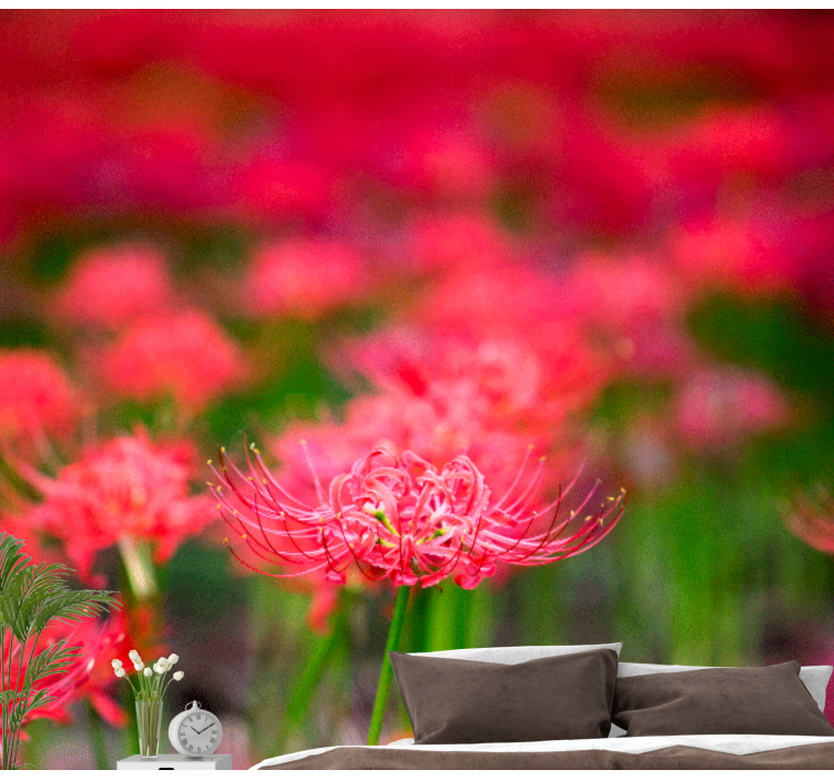 Poppy wall mural lively crimson flowers - TenStickers