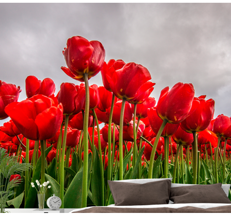 Red flowers filed with cloudy sky wall mural - TenStickers