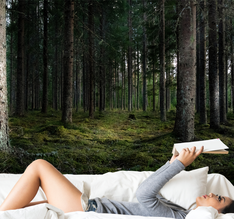 Serene Landscape forest wall mural - TenStickers