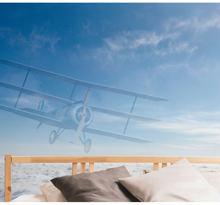 Sky with airplane Marriage Wall Murals - TenStickers
