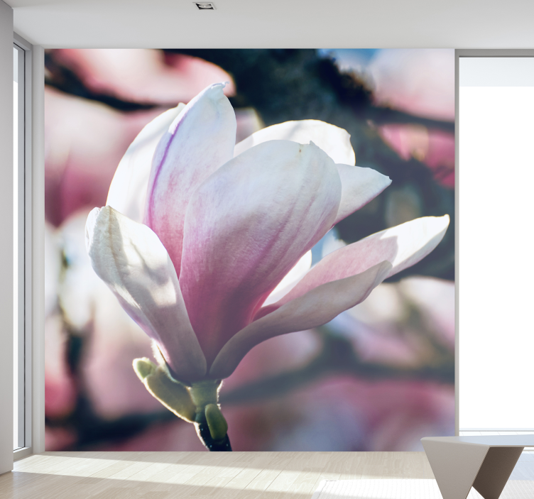 Spring Magnolia Wall Mural - TenStickers