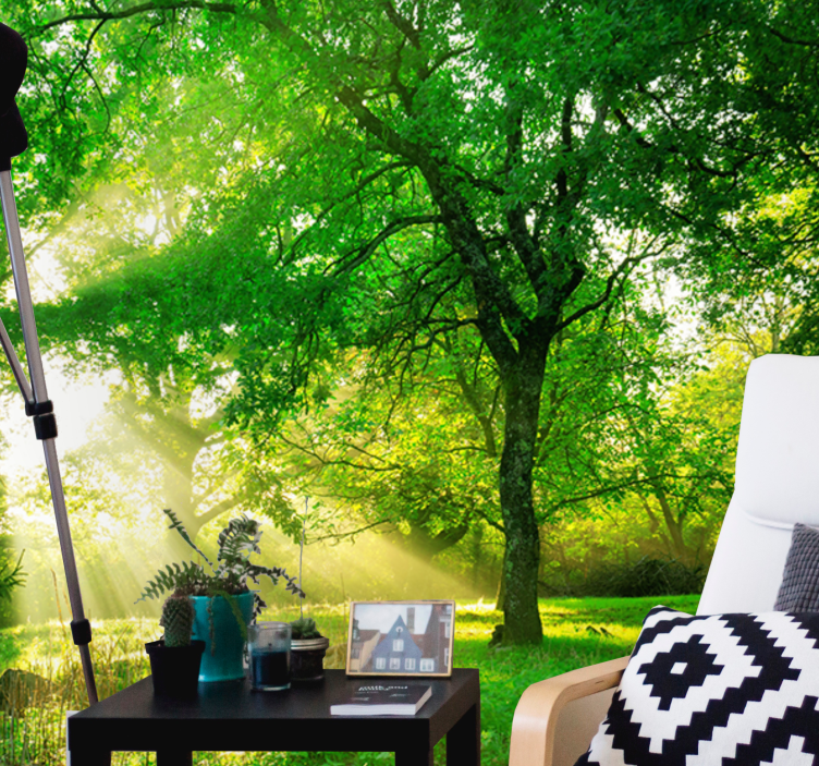 Sunbeams through the trees  Forest Wall Mural - TenStickers