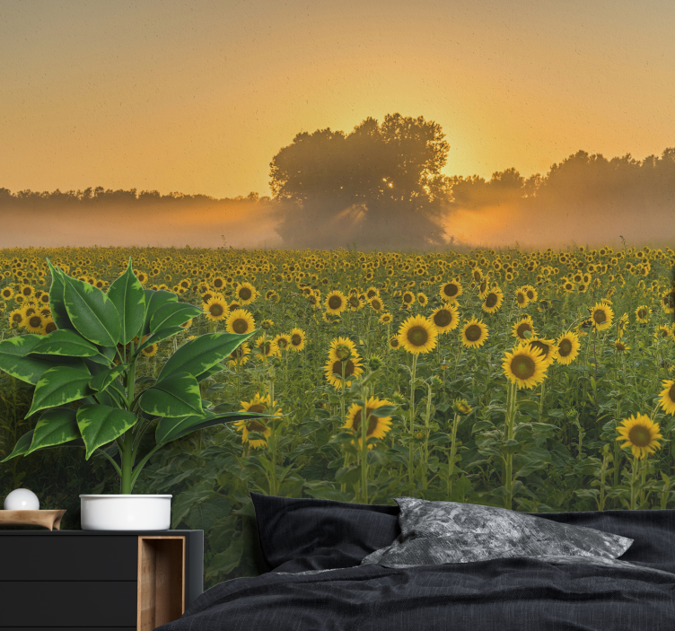 Sunflower Field Sunset flower wall mural - TenStickers