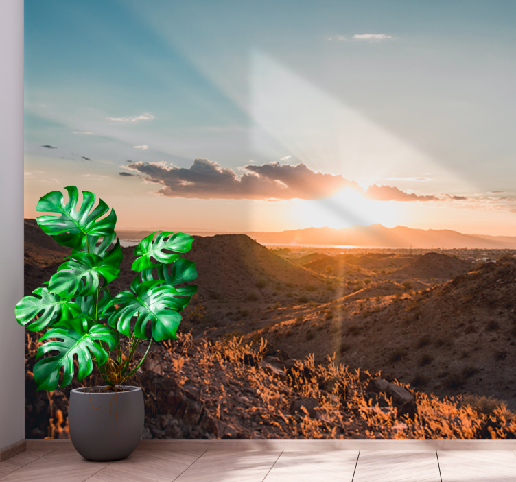 Sunset View desert wall mural - TenStickers