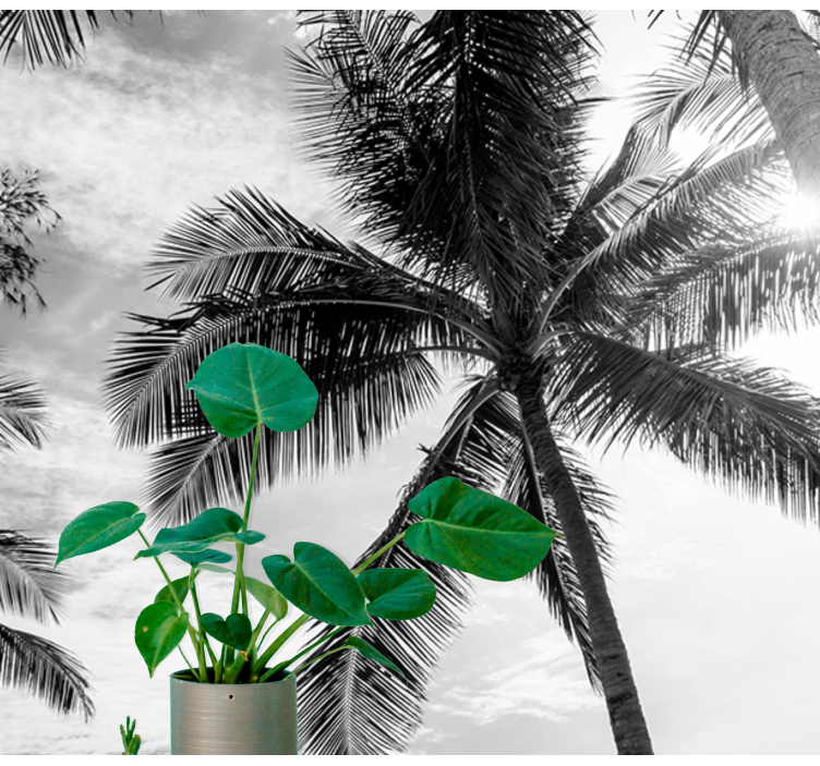 Tropical palm scene under the sea wall mural - TenStickers