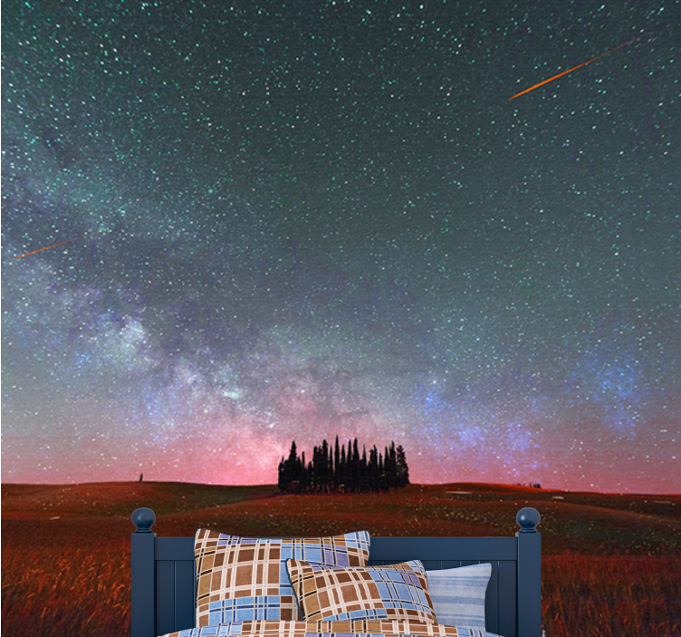 Wall mural mountain starlit milky way - TenStickers