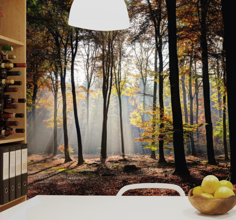 Wall mural nature autumn forest rays - TenStickers