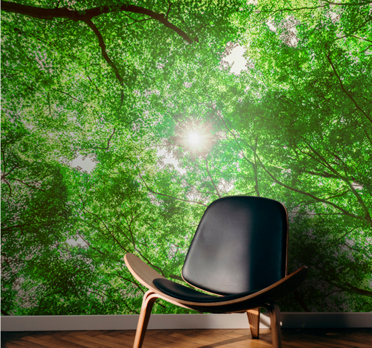 Wall mural nature canopy tree perspective - TenStickers