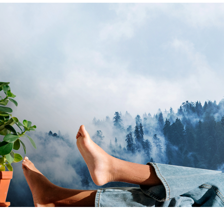 Wall mural nature forest misty landscape - TenStickers