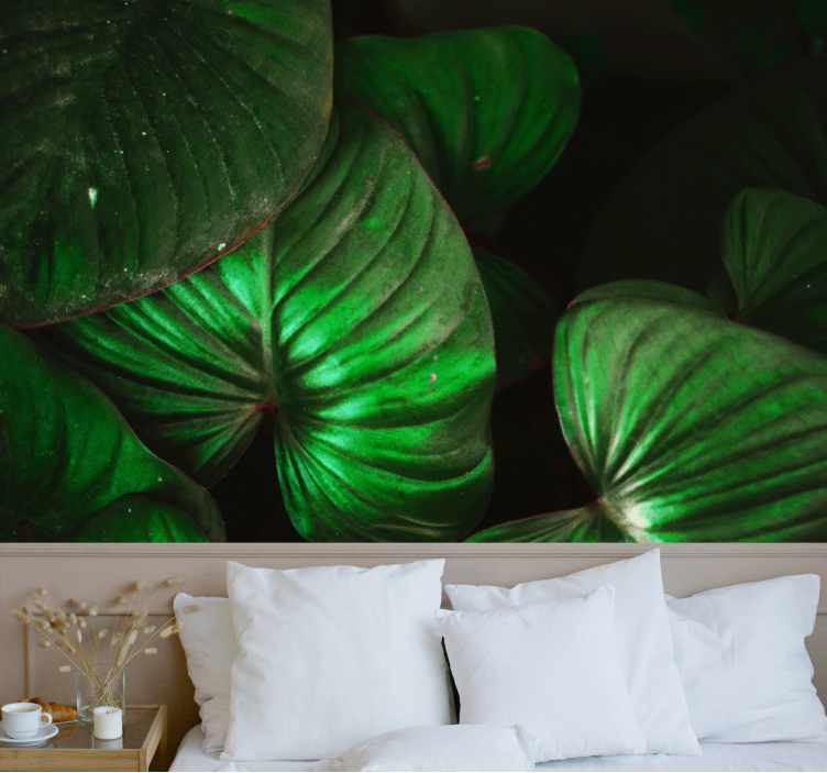 Wall mural nature lively green foliage - TenStickers