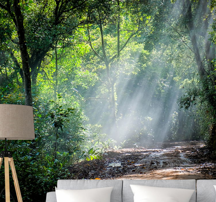 Wall mural nature luminous woodland path - TenStickers