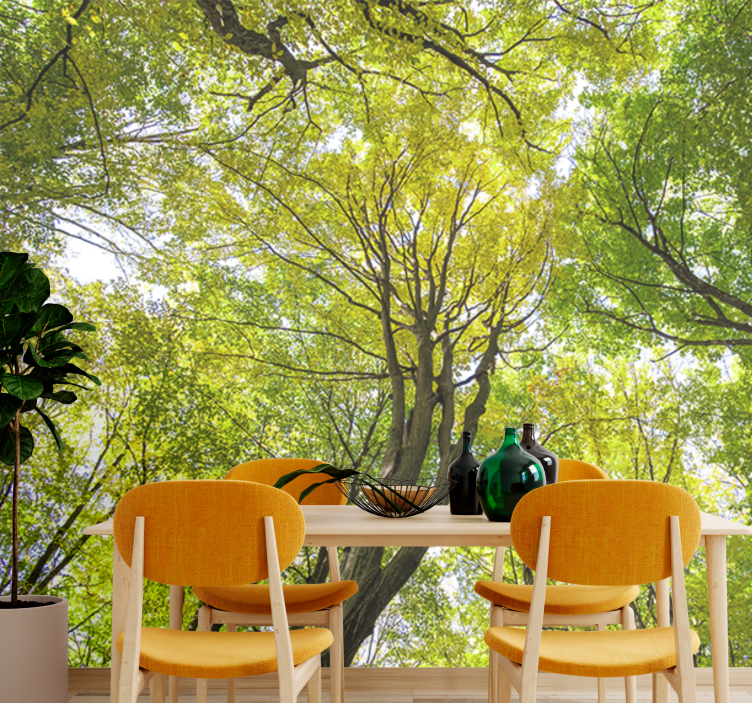 Wall mural nature lush forest canopy - TenStickers