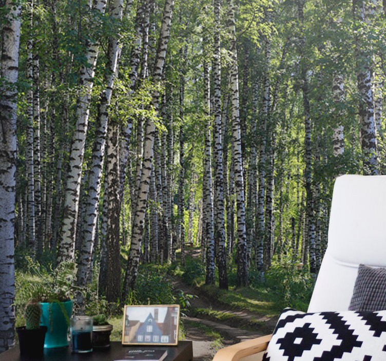 Wall mural nature serene birch forest - TenStickers