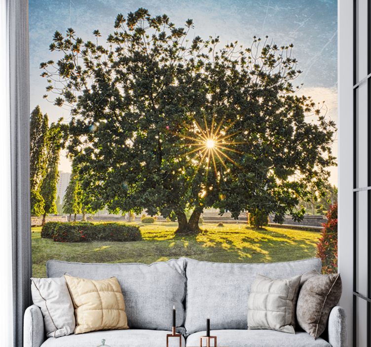 Wall mural nature sunny tree perspective - TenStickers