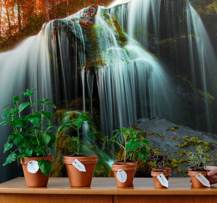 Wall mural waterfall gentle falling water - TenStickers