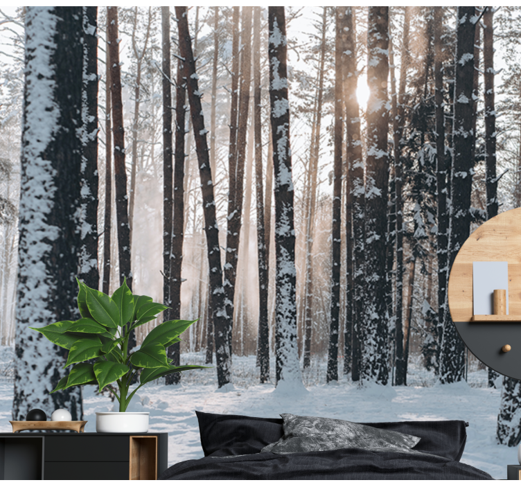 White forest  Forest Wall Mural - TenStickers