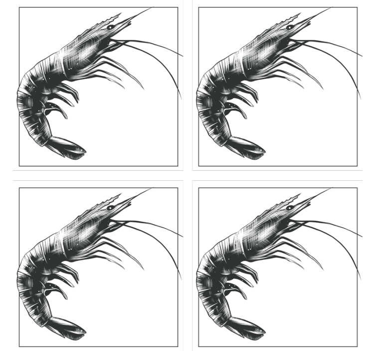 Beautiful hand drawn shrimp fish coaster - TenStickers