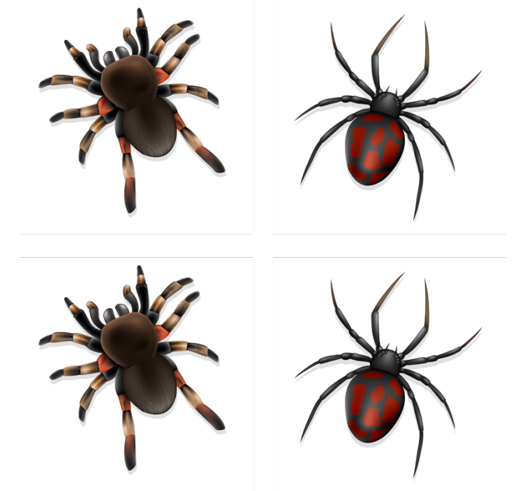 Halloween coasters spooky spider collection - TenStickers