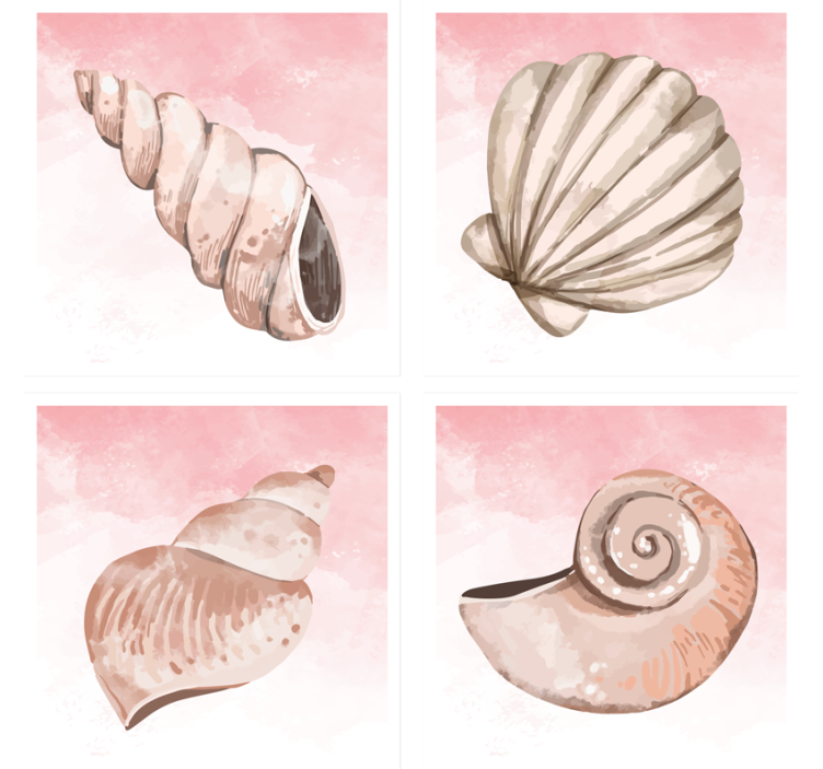 Modern coasters seashells with pink splash - TenStickers