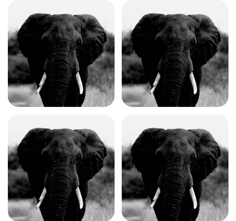 Vintage coaster monochrome elephant portraits - TenStickers