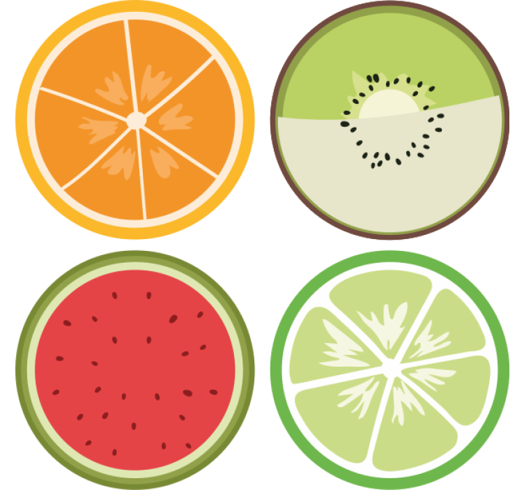 Modern coasters citrus fruit slices set - TenStickers