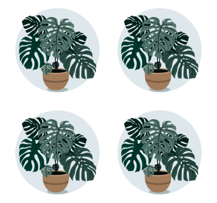 Small potted plant more coasters - TenStickers
