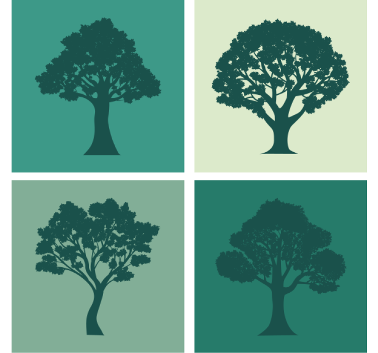 Tree variety modern coaster - TenStickers
