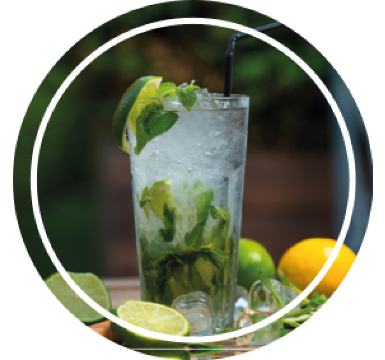 Modern coasters for refreshing minty drinks - TenStickers