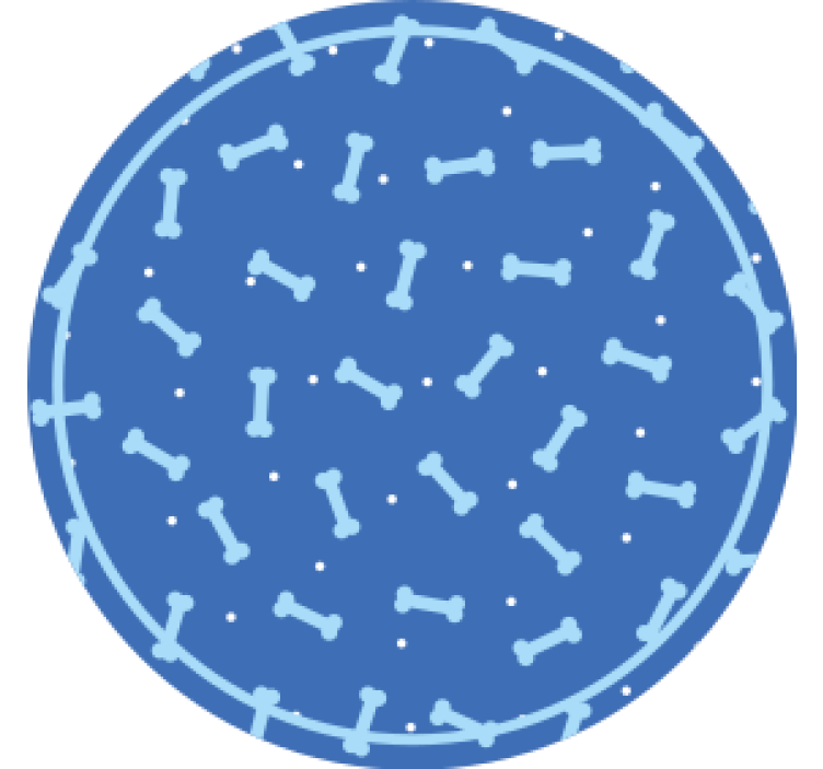 Texture coasters bone pattern circle - TenStickers